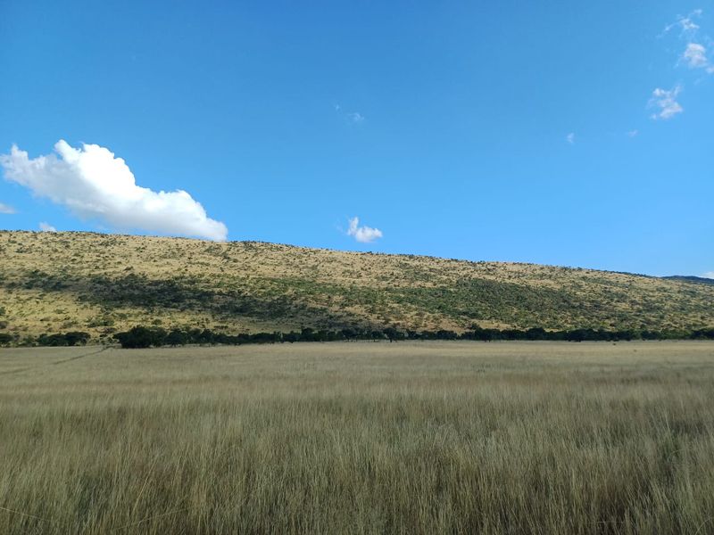 Champagne Air..78 Hectare Undeveloped Farm Land - Photo 5