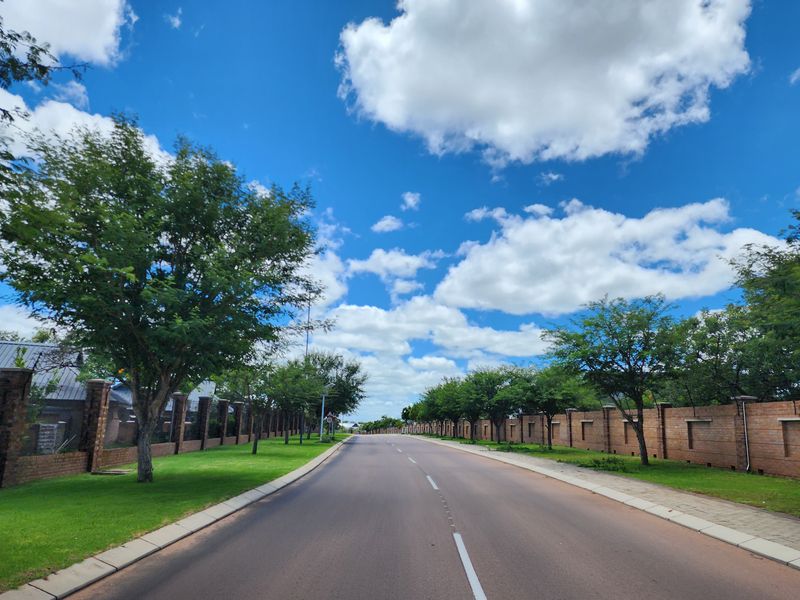 A view of the paved residential street lined with established trees and brick boundary walls within the estate.