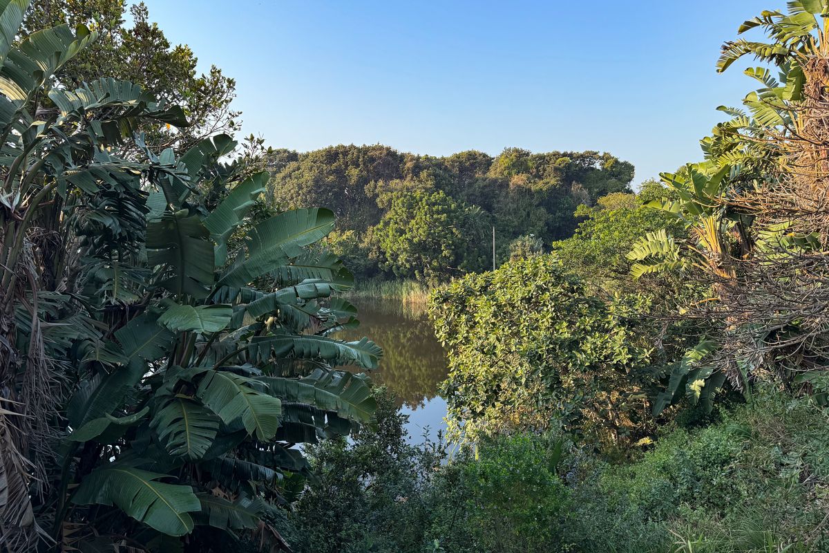 Freestanding Lakeside Townhouse in Zimbali - Photo 2