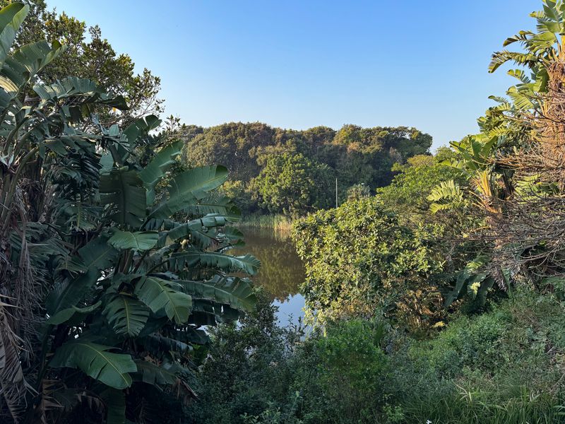 Freestanding Lakeside Townhouse in Zimbali - Photo 2