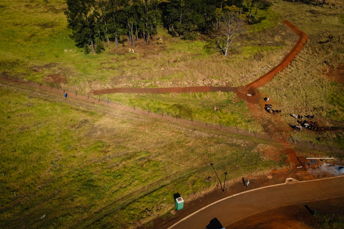 Prime land in the PineLands - St Johns Village - Photo 5