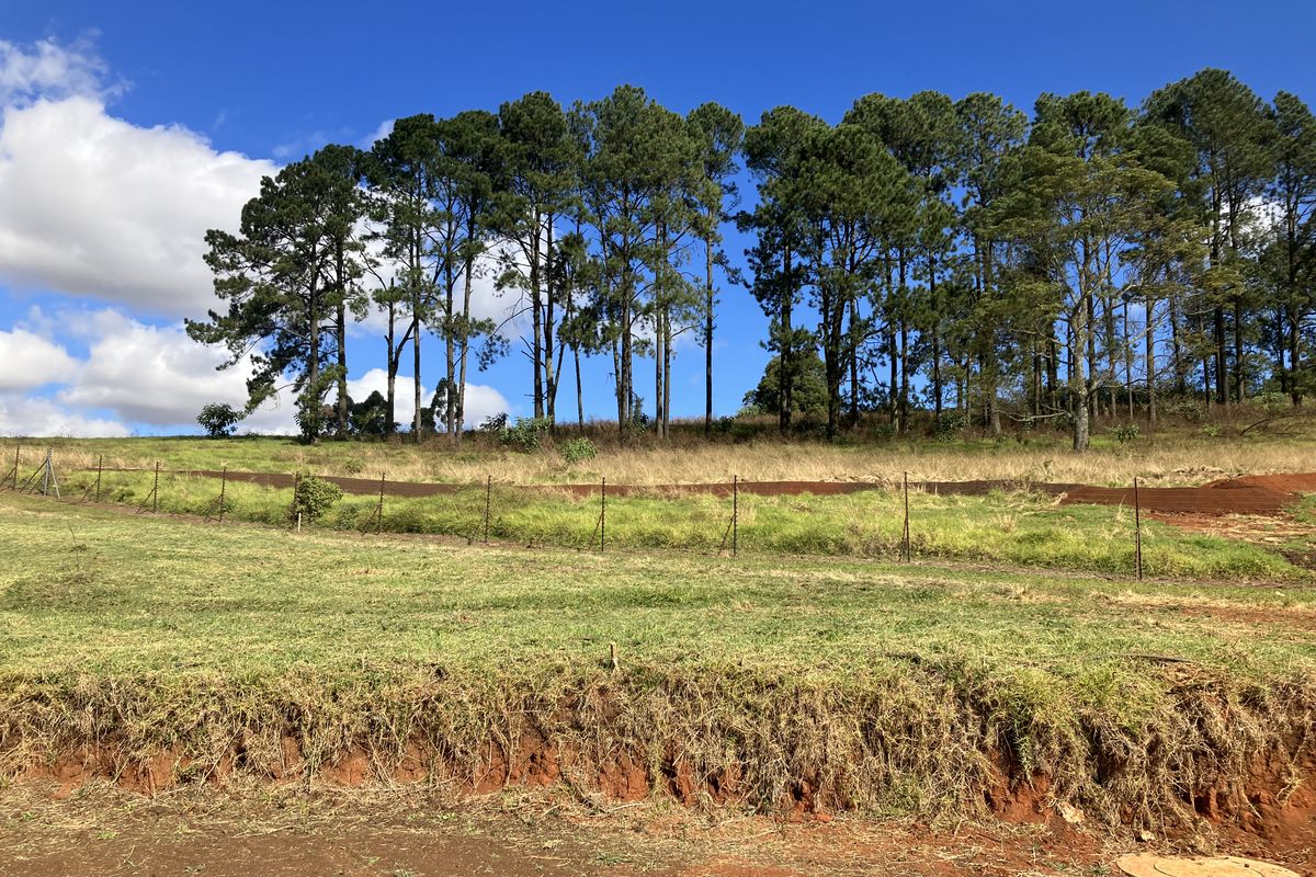 Prime land in the PineLands - St Johns Village - Photo 3