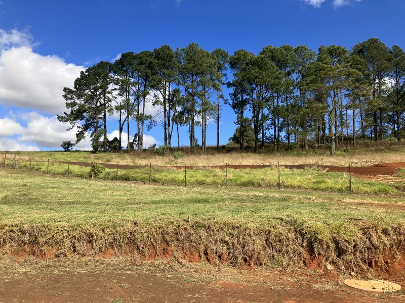 Prime land in the PineLands - St Johns Village - Photo 3