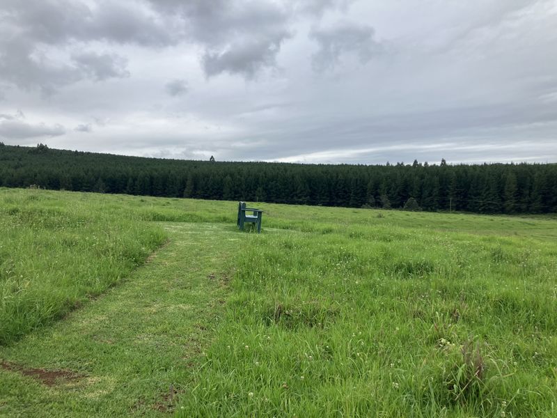 Prime land in the PineLands - St Johns Village - Photo 7