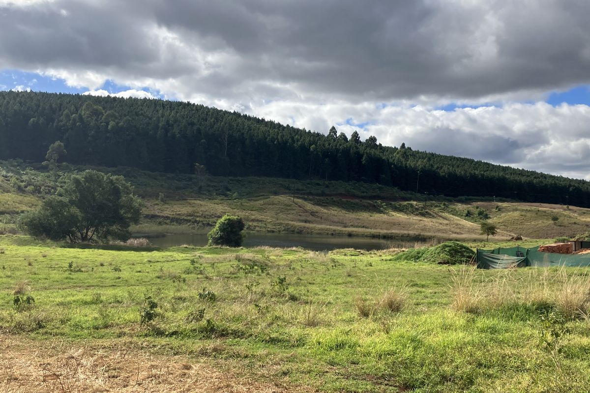 Prime land in the PineLands - St Johns Village - Photo 4