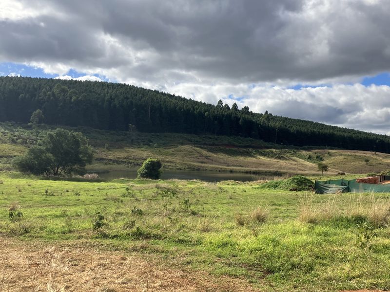 Prime land in the PineLands - St Johns Village - Photo 4