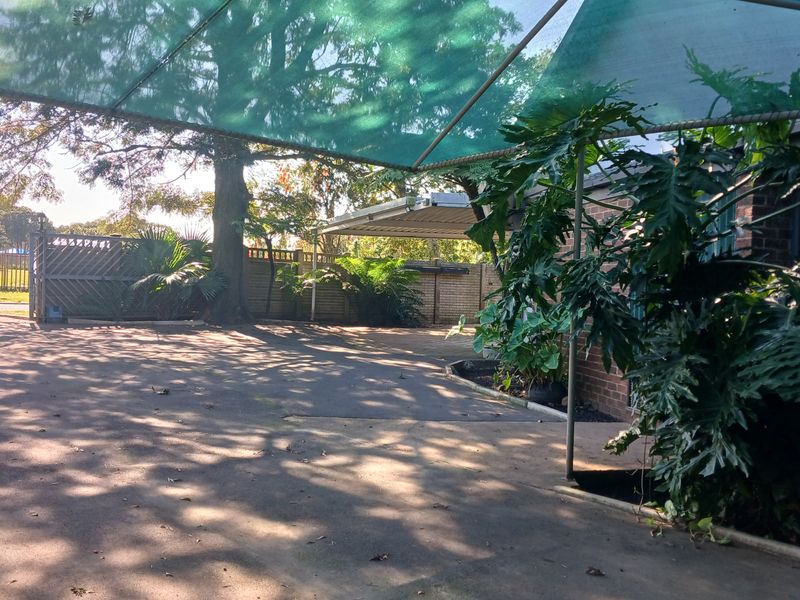 Spacious paved driveway area featuring a shade cloth carport structure and secure brick boundary walling.