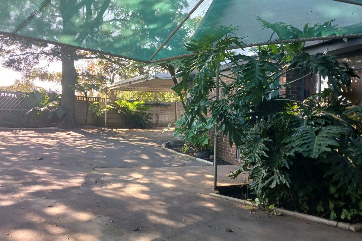A paved rear outdoor area featuring a shade sail structure, brick walling, and established garden greenery.