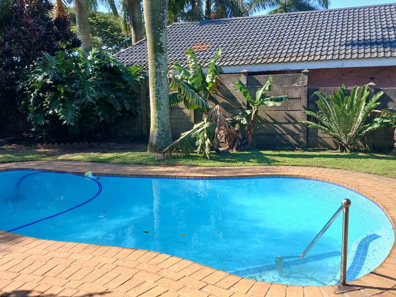 A backyard swimming pool featuring brick coping and a metal handrail, set against a landscaped garden and a concrete boundary wall.