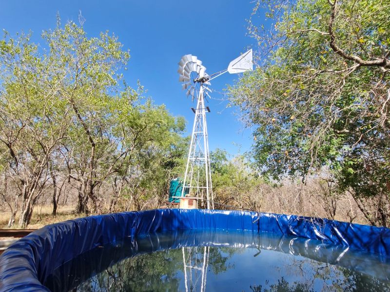 A functional farm water reservoir with a traditional metal windmill, set within a natural bushveld landscape.