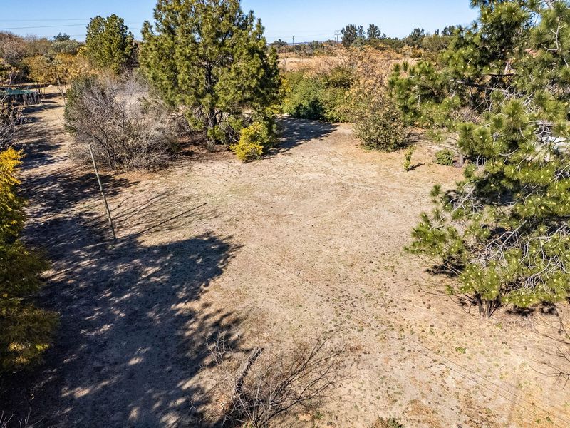 A spacious, undeveloped garden area featuring mature trees and natural landscaping, offering potential for future outdoor development or expansion.
