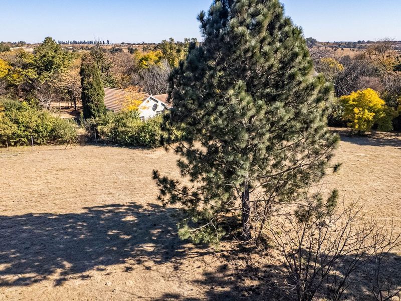 An aerial view of a large, open plot of land featuring mature trees and a glimpse of a residential structure with a tiled roof.