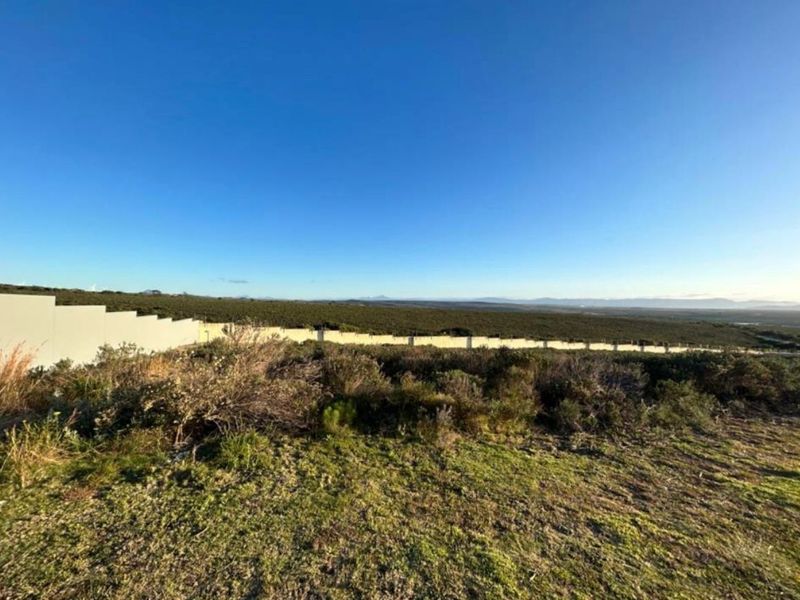 Vacant Land in Blue Waters Estate with Scenic Vews - Photo 3