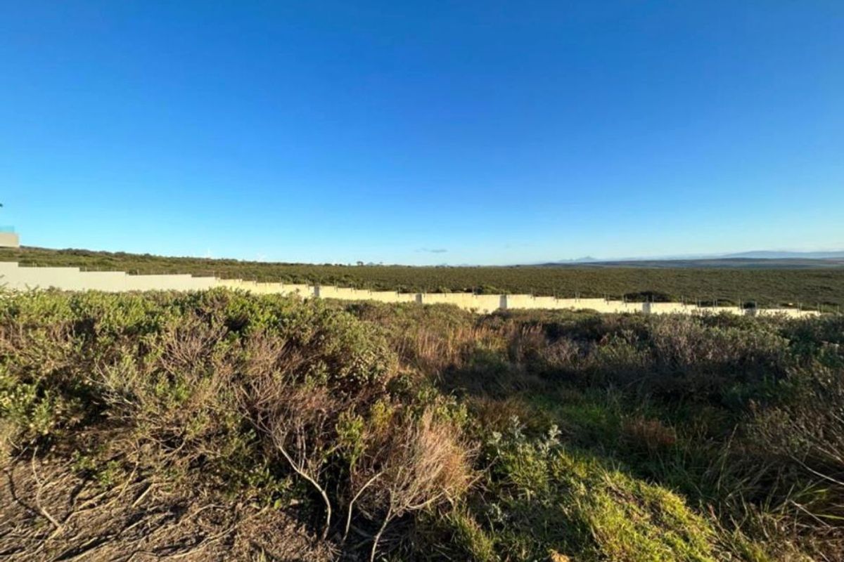 Vacant Land in Blue Waters Estate with Scenic Vews - Photo 2