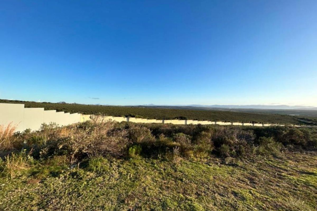 Vacant Land in Blue Waters Estate with Scenic Vews - Photo 3