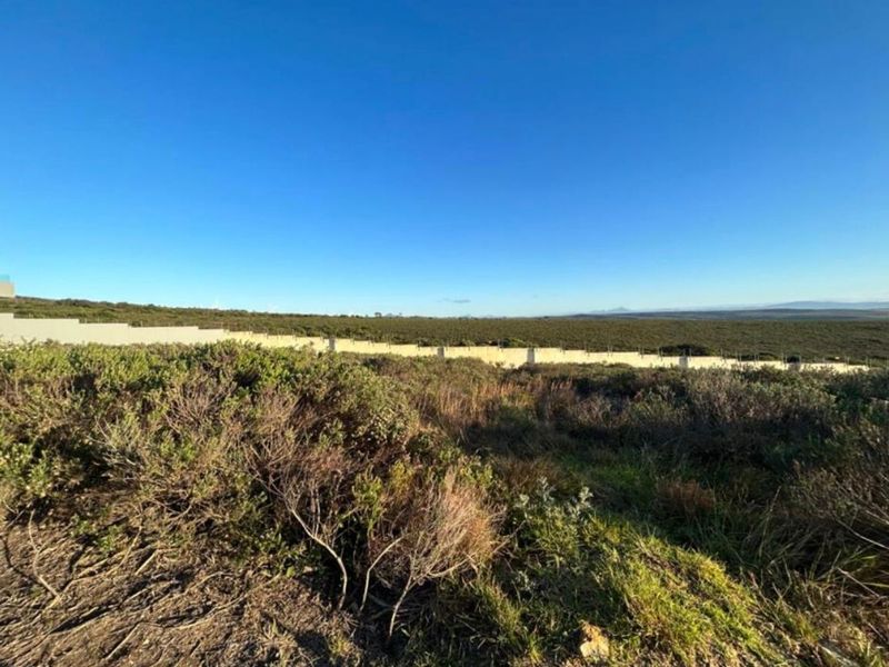 Vacant Land in Blue Waters Estate with Scenic Vews - Photo 2