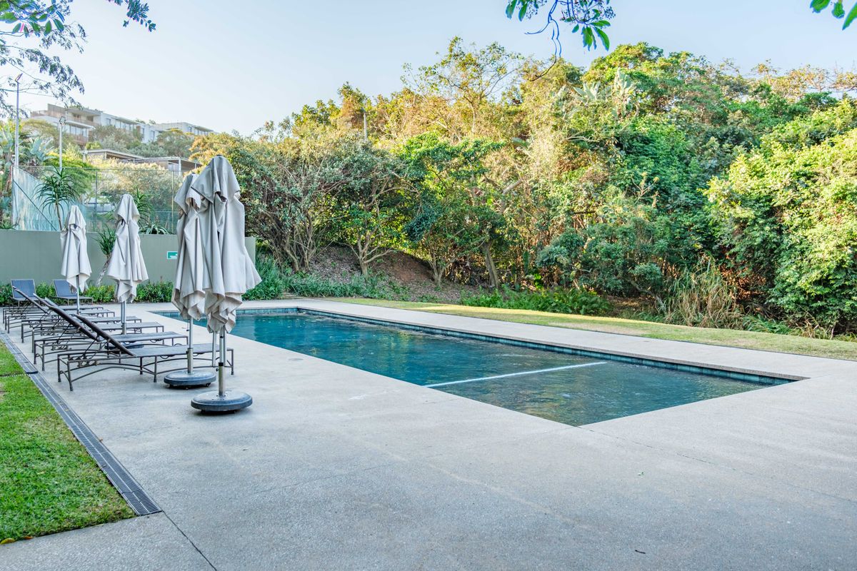 Single Level Sanctuary in Dunkirk Estate - Photo 4