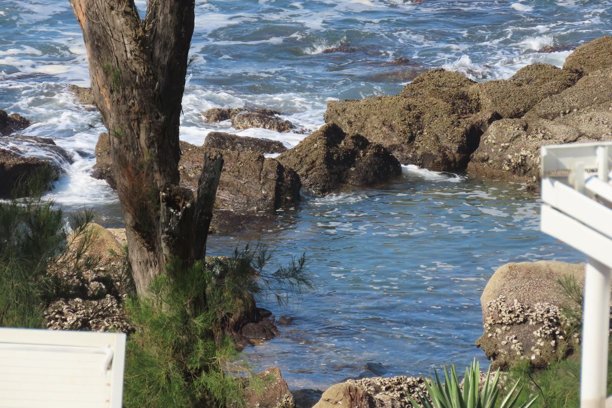 Freestanding Coastal Gem in Thompsons Bay with Panoramic Breaker Views - Photo 3