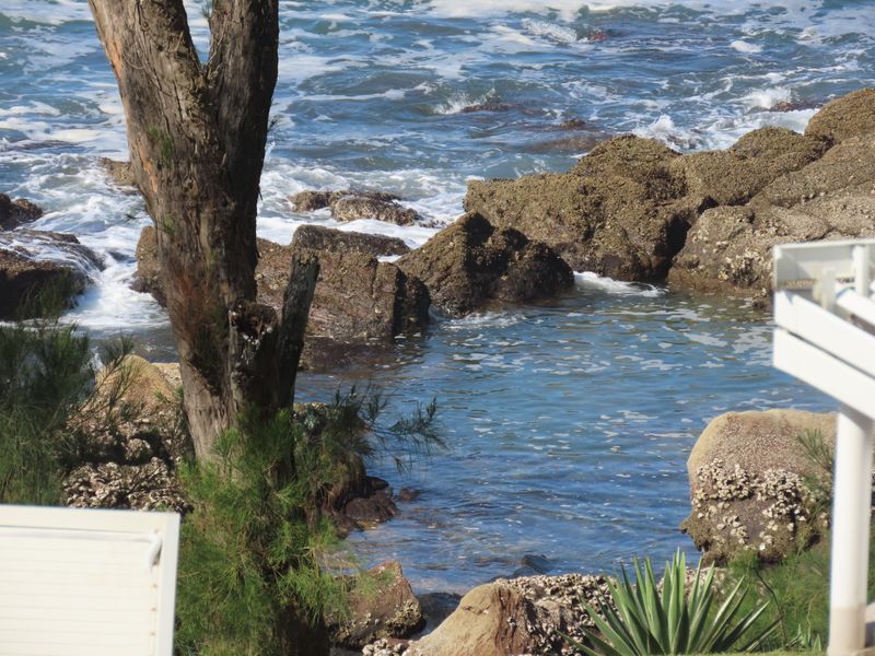 Freestanding Coastal Gem in Thompsons Bay with Panoramic Breaker Views - Photo 3