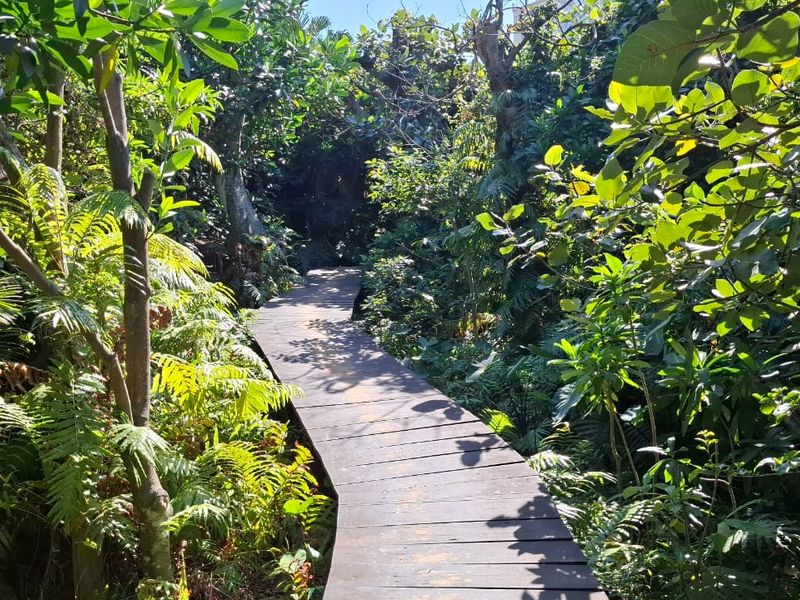 Penthouse Paradise in Prime Compensation Beach Location - Photo 6