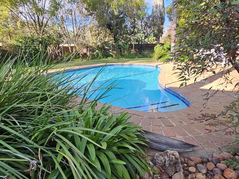 A well-maintained swimming pool area featuring a paved surround, established garden landscaping, and mature trees, providing a private outdoor retreat.