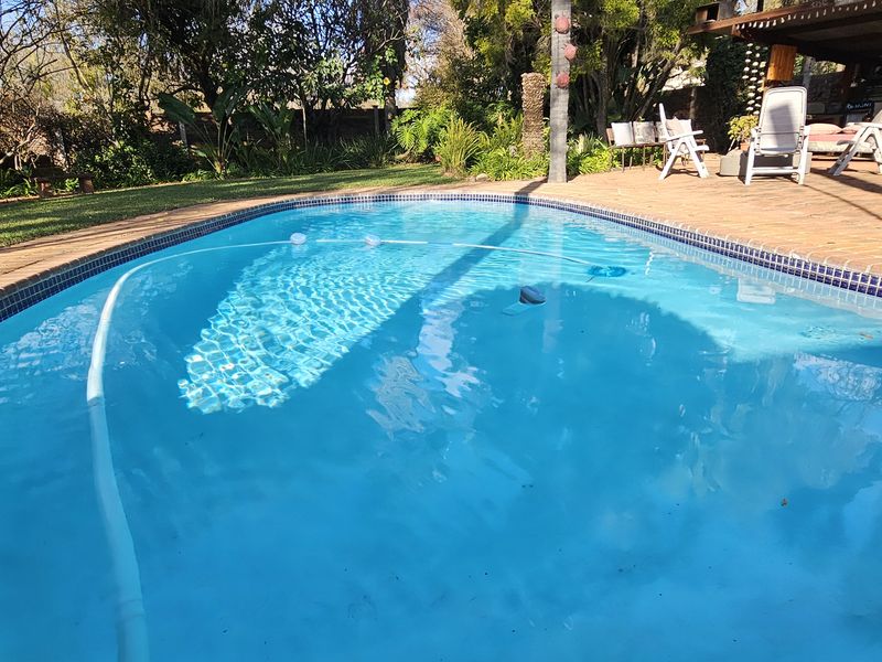 Outdoor swimming pool area featuring a paved surround, established garden landscaping, and an adjacent covered patio space.