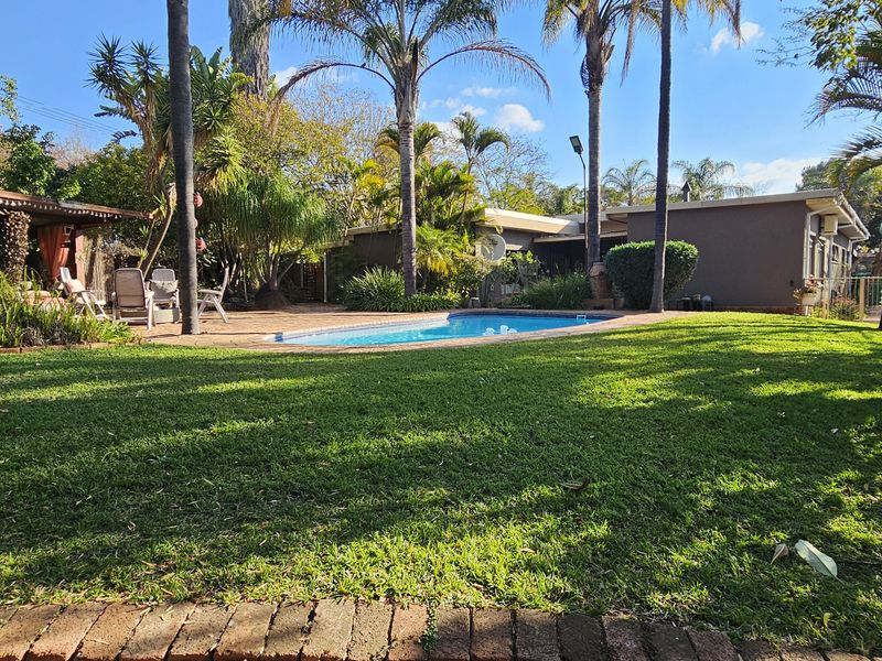 A spacious backyard featuring a swimming pool, a covered patio area, mature palm trees, and a well-maintained lawn.