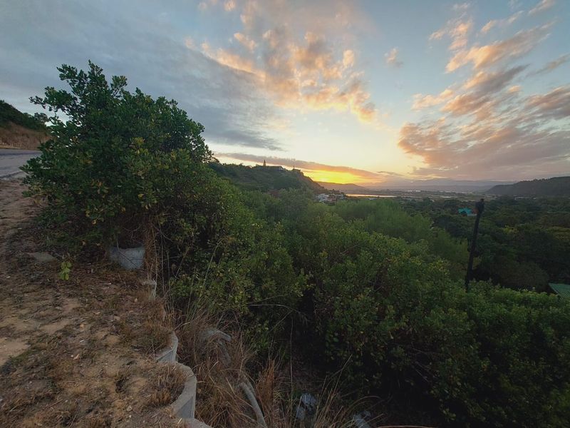 Your Dream Home Awaits in Sedgefield. - Photo 4