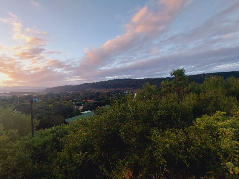 Your Dream Home Awaits in Sedgefield. - Photo 10