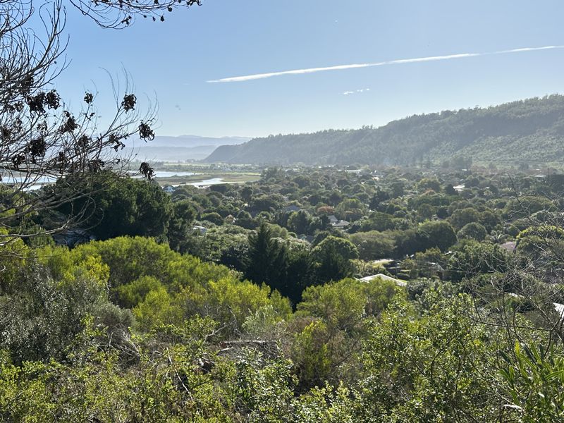 Your Dream Home Awaits in Sedgefield. - Photo 7