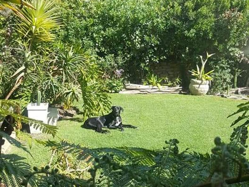 A well-maintained private garden featuring a lush green lawn, mature perimeter shrubbery, and natural stone landscaping elements.