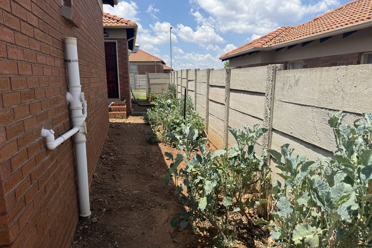 A side exterior walkway featuring a brick wall, exposed plumbing, and a precast concrete boundary wall with a vegetable garden patch.