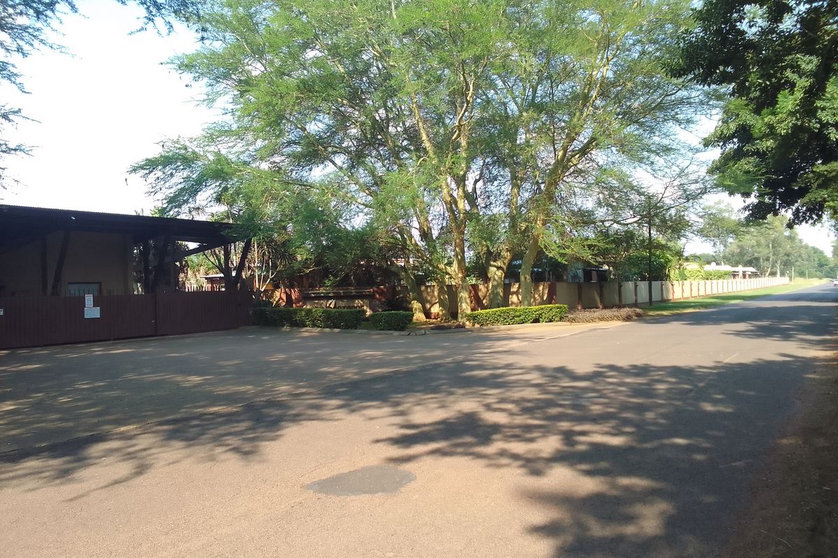 Luxurious and spacious Units - Photo 5