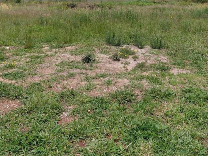 Prime Vacant Stand in Secure Casa Acasia Estate - Photo 5