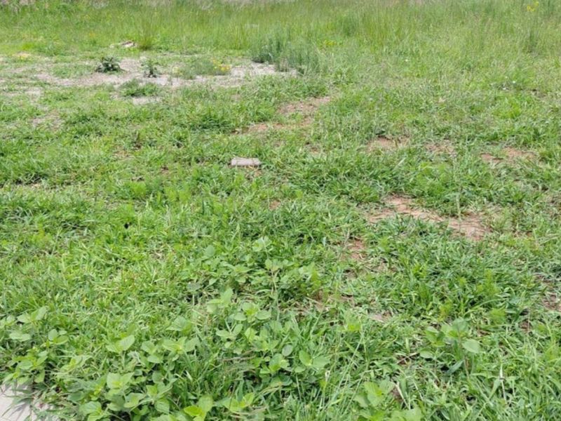 Prime Vacant Stand in Secure Casa Acasia Estate - Photo 4