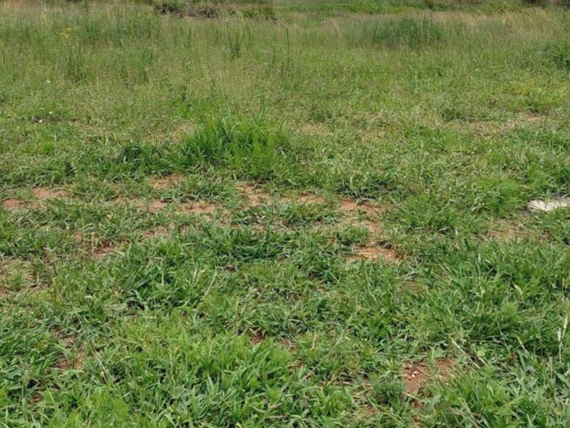 Prime Vacant Stand in Secure Casa Acasia Estate - Photo 6