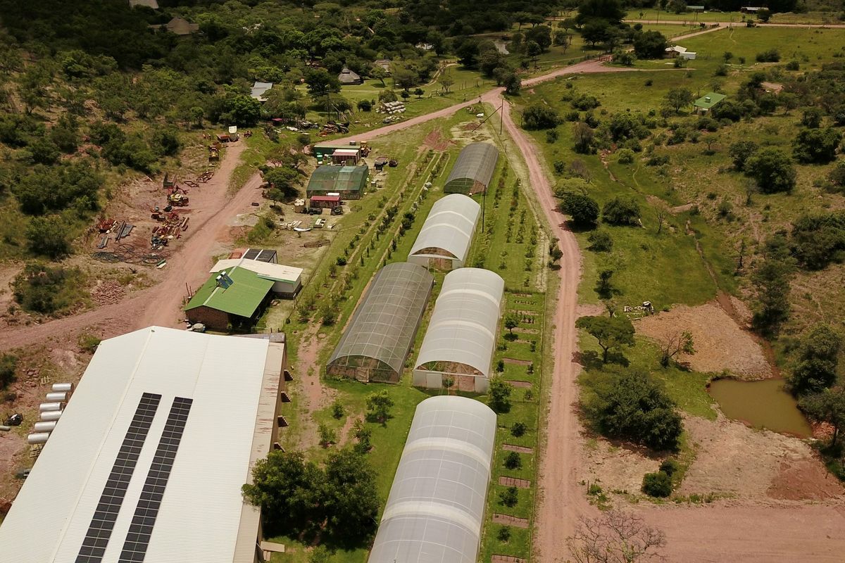 All in one farm, the ultimate "Self Sustainable" opportunity - Photo 3