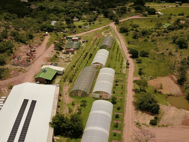 All in one farm, the ultimate "Self Sustainable" opportunity - Photo 3