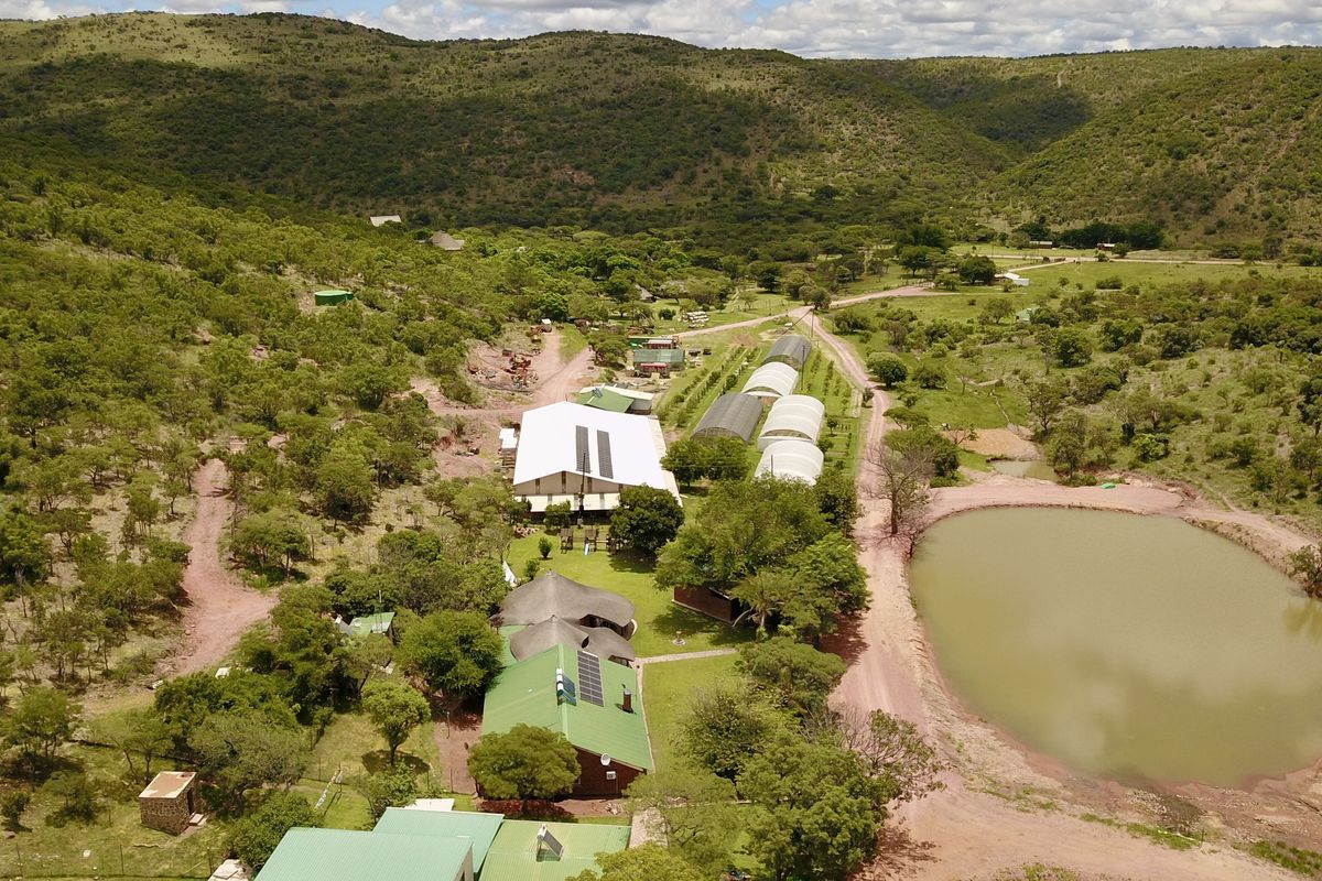 All in one farm, the ultimate "Self Sustainable" opportunity - Photo 4