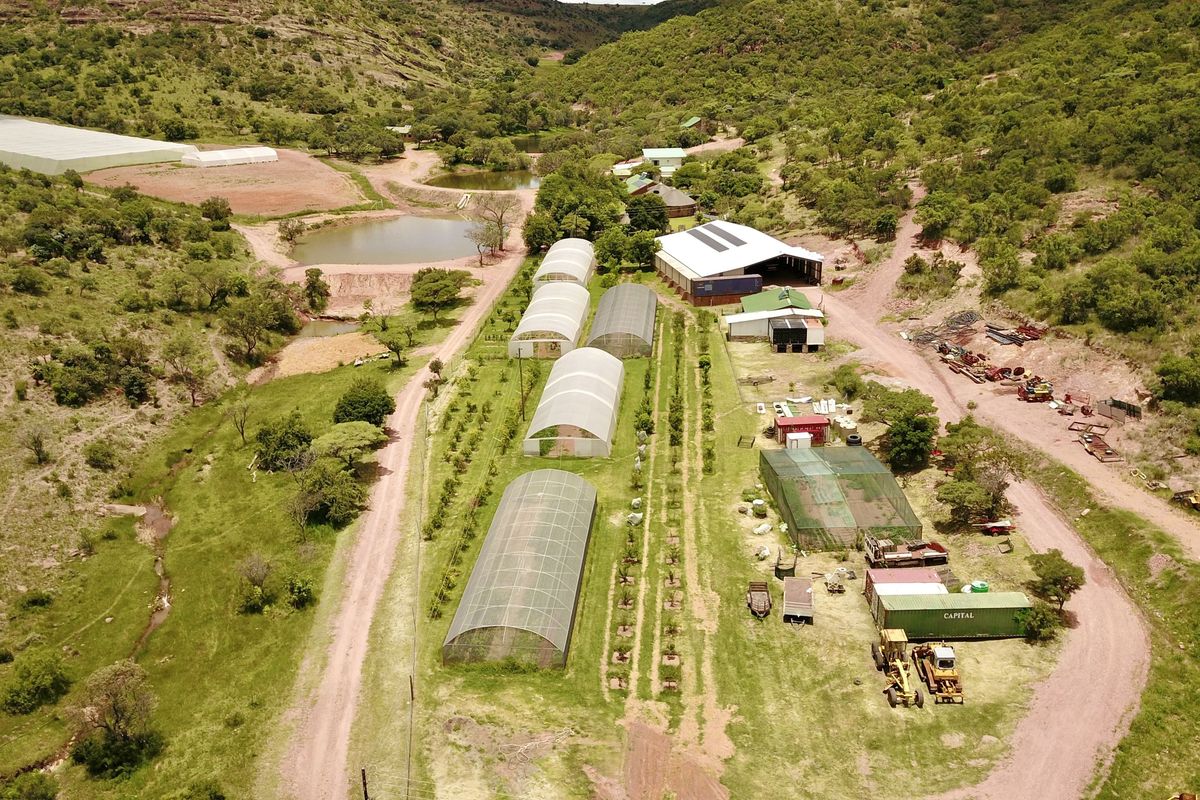 All in one farm, the ultimate "Self Sustainable" opportunity - Photo 5