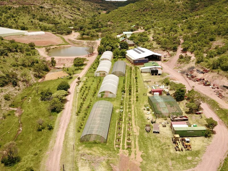 All in one farm, the ultimate "Self Sustainable" opportunity - Photo 5