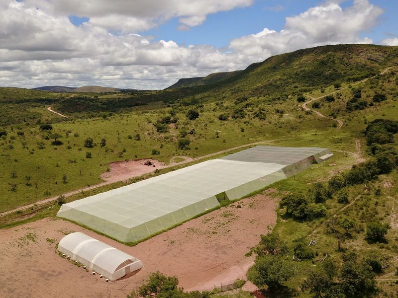 All in one farm, the ultimate "Self Sustainable" opportunity - Photo 7