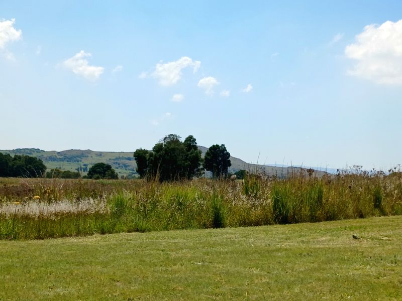 Premium Vacant Stand Bordering a Greenbelt in Prestigious Berg en Dal Lifestyle Estate, Heidelberg - Photo 6