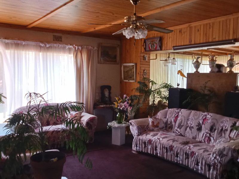 A living room featuring extensive timber-clad walls and ceilings, a central ceiling fan, and large windows allowing for natural light.