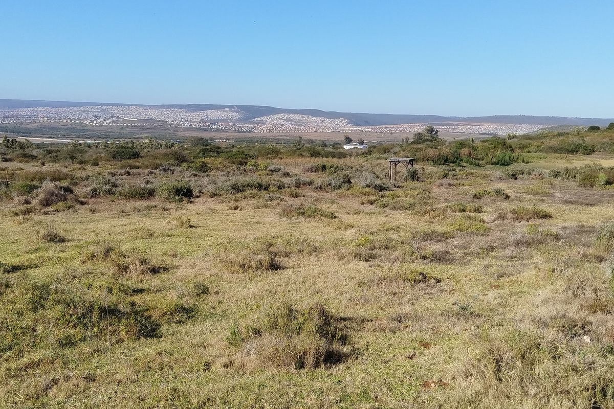 87,680m2 Vacant Land for Sale – Mimosa Dale (Rooihoogte), Uitenhage - Photo 3