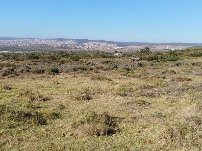 87,680m2 Vacant Land for Sale – Mimosa Dale (Rooihoogte), Uitenhage - Photo 3