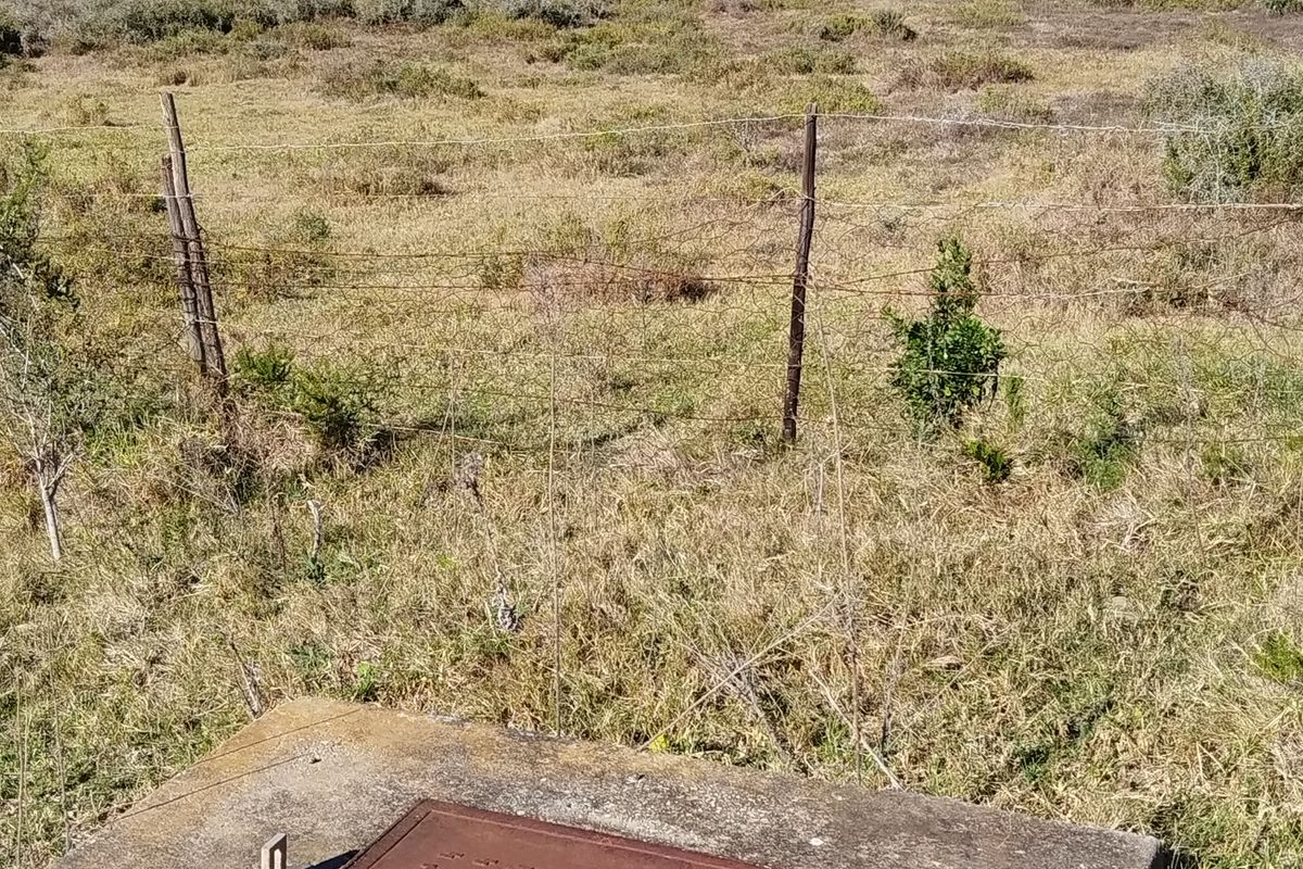 87,680m2 Vacant Land for Sale – Mimosa Dale (Rooihoogte), Uitenhage - Photo 4