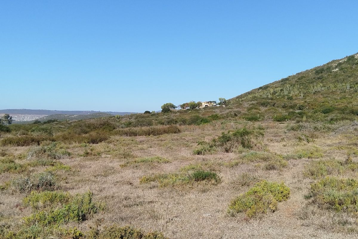 87,680m2 Vacant Land for Sale – Mimosa Dale (Rooihoogte), Uitenhage - Photo 2