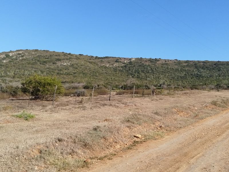 87,680m2 Vacant Land for Sale – Mimosa Dale (Rooihoogte), Uitenhage - Photo 7