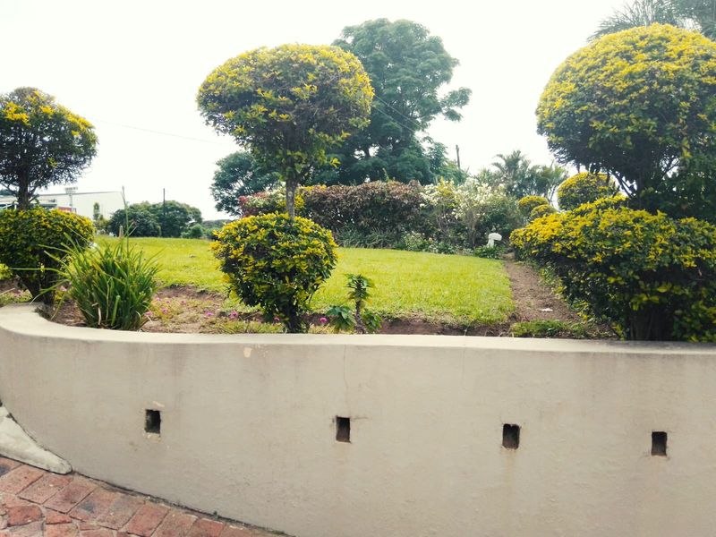 A view of a landscaped garden featuring manicured shrubs and a concrete retaining wall with visible surface wear.